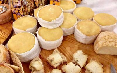 Queijo Serra da Estrela foi distinguido como um dos melhores queijos do mundo