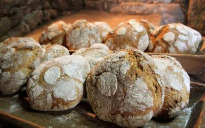 Seia acolhe primeira edição do concurso “O Melhor Pão de Portugal”