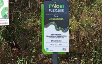 Seia alarga rede de transporte flexível com três novos circuitos Mobiflex