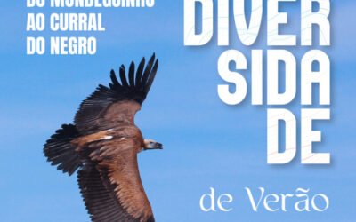 Biodiversidade-de-Verao