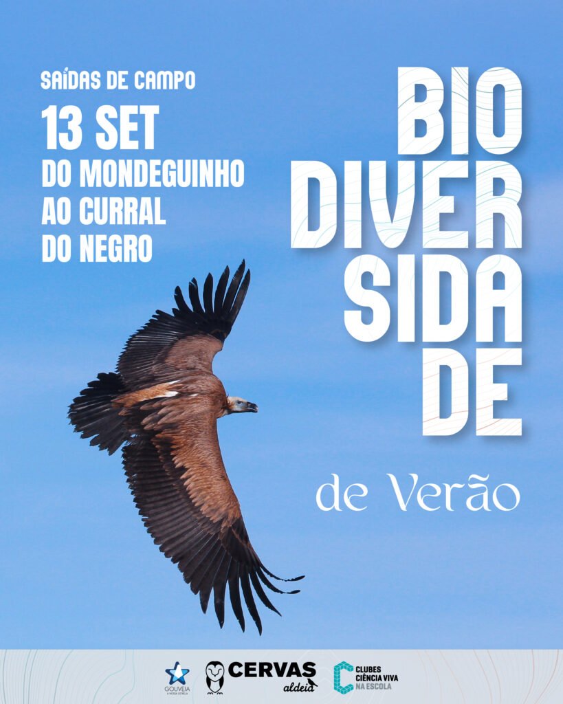 Biodiversidade-de-Verao
