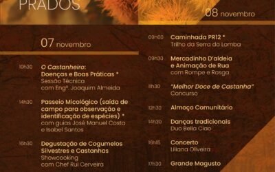 Festival da Castanha, Celorico da Beira